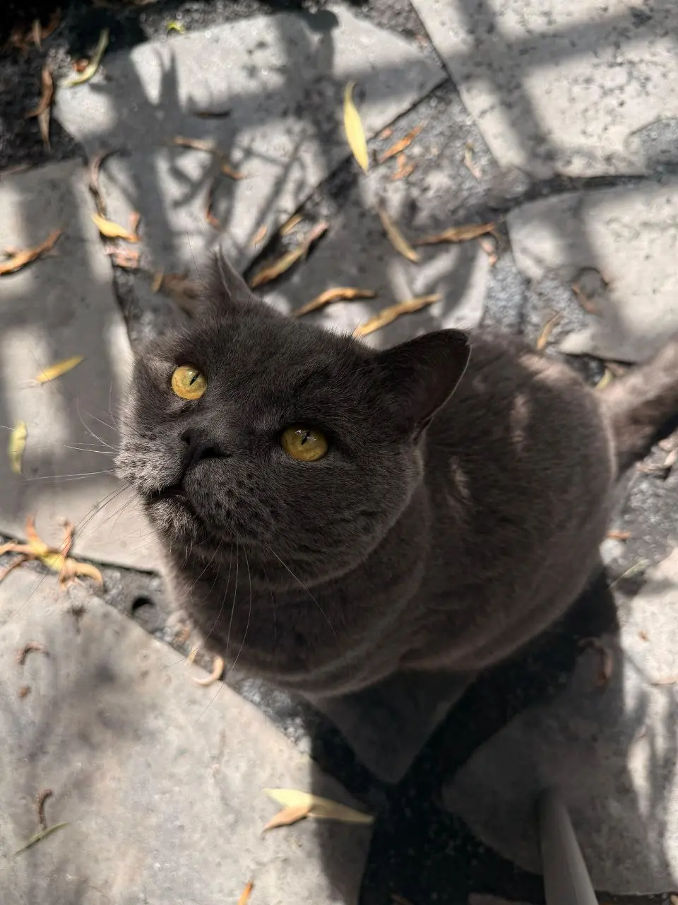 Очередной винный лекторий с Анной Воликовой