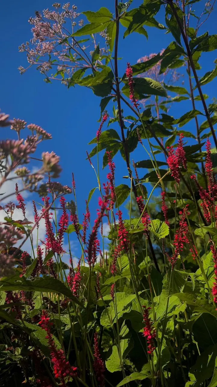 Очередной винный лекторий с Анной Воликовой