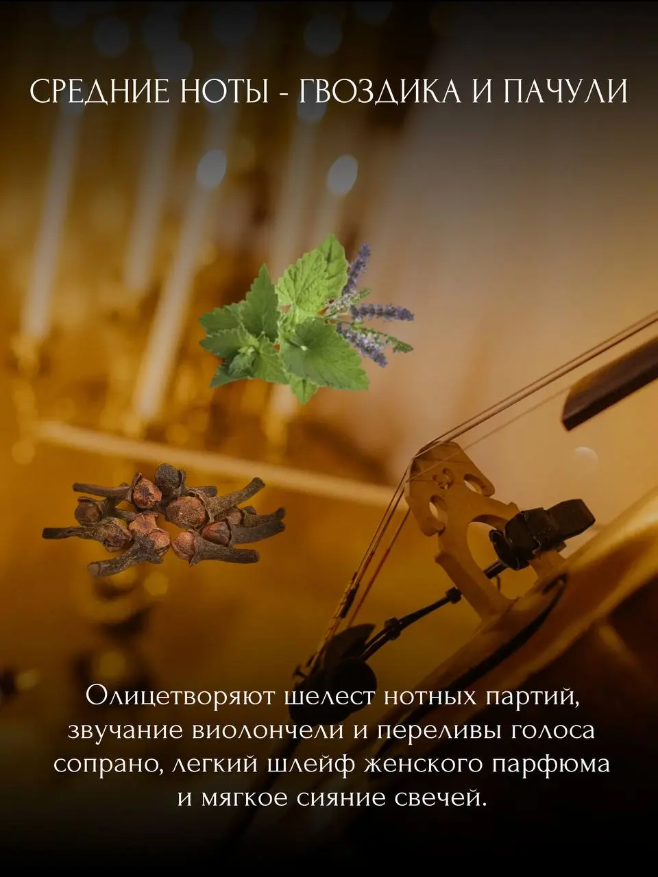 Аромат Amadeus Opening Season