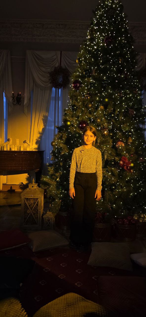 Рождественский детектив. Ледяное приключение