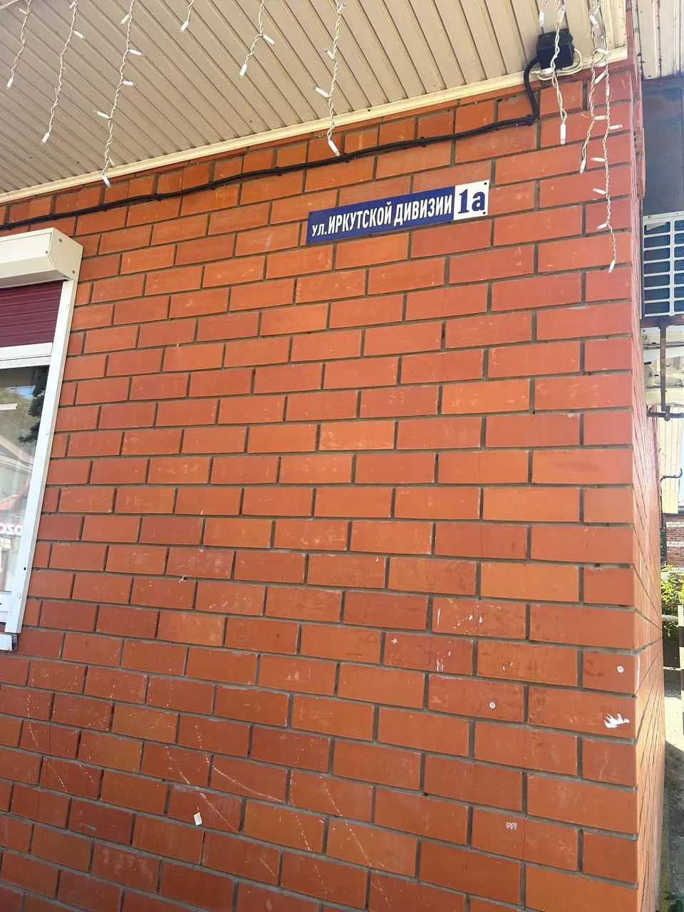 ЙОГА В ЛЕСУ 🌳