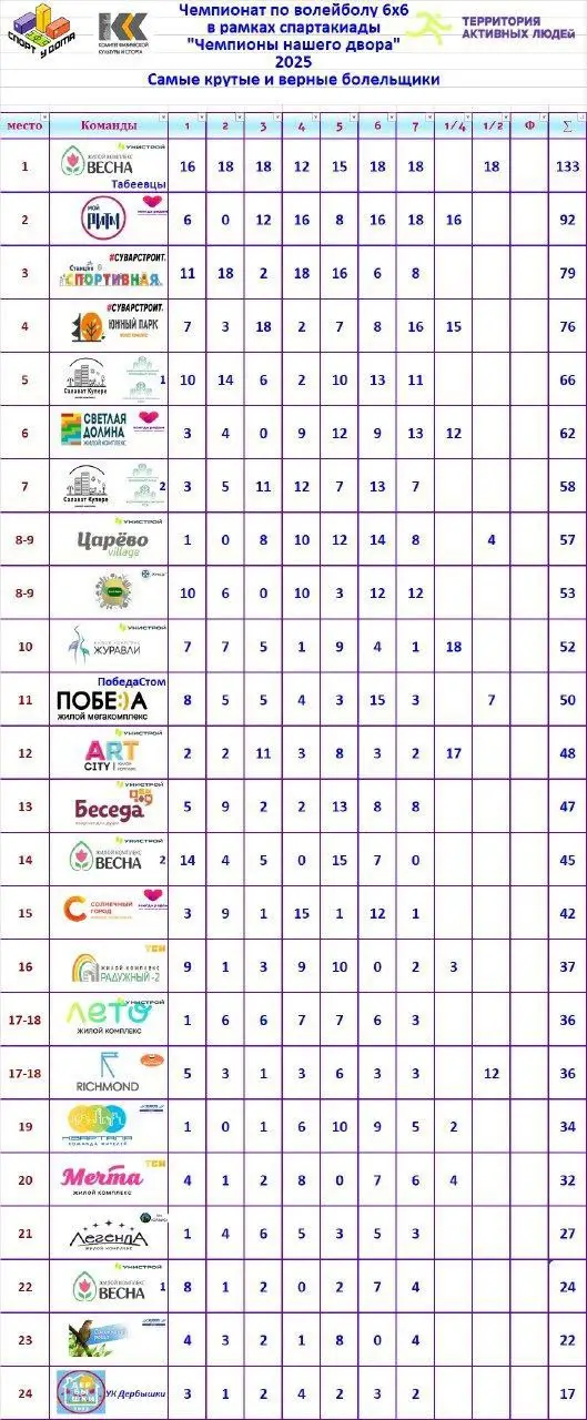 Домашний матч по волейболу в рамках дворового чемпионата за выход в финал