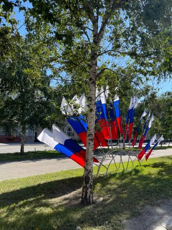 День государственного флага