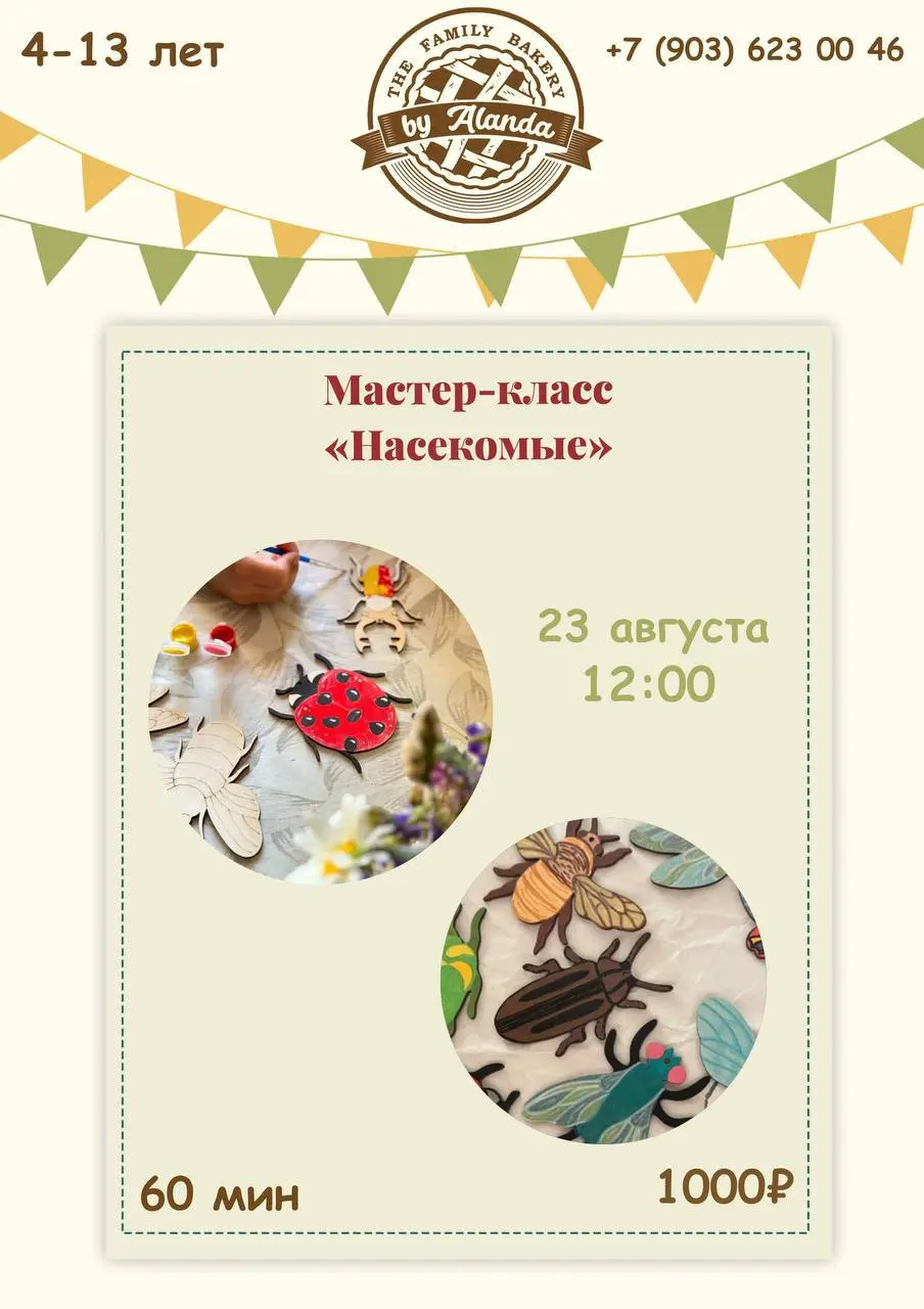 Мастер-класс Насекомые: роспись и творчество