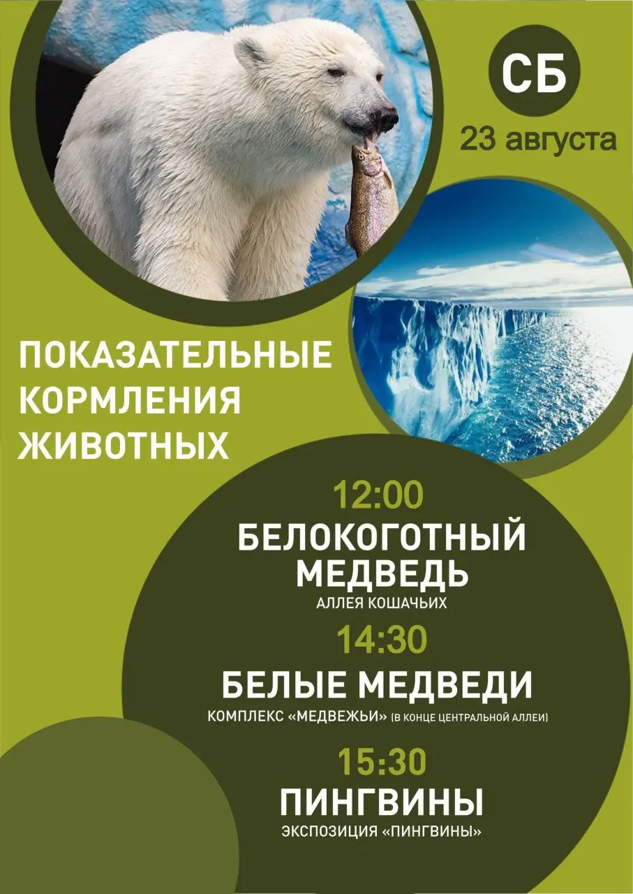 Расписание мероприятий и показательных кормлений в парке Роев ручей на предстоящие выходные