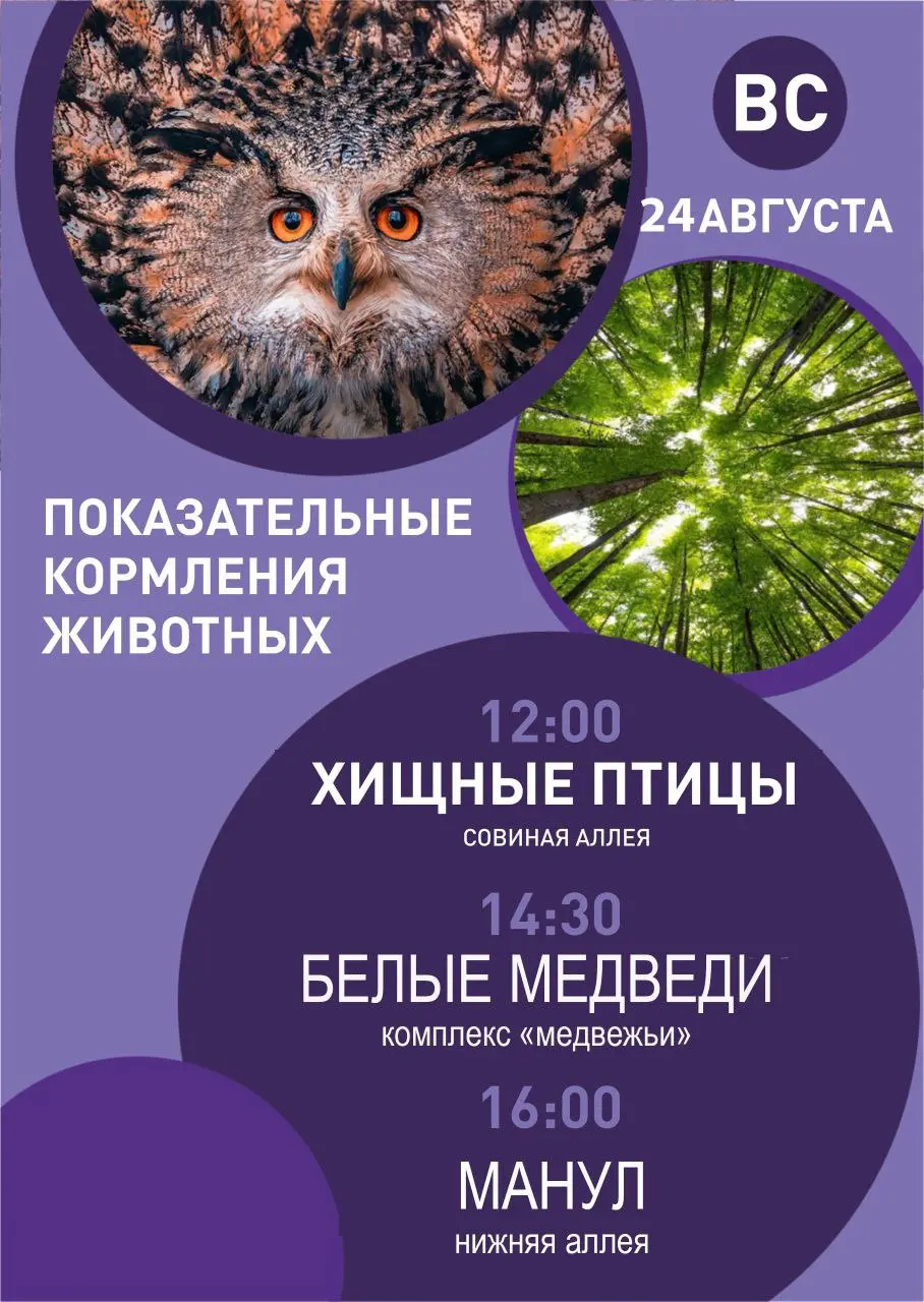 Расписание мероприятий и показательных кормлений в парке Роев ручей на предстоящие выходные
