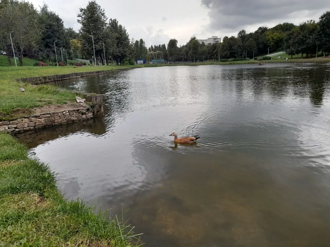 Вечерняя прогулка в центральную часть Битцевского леса и загадочный лабиринт