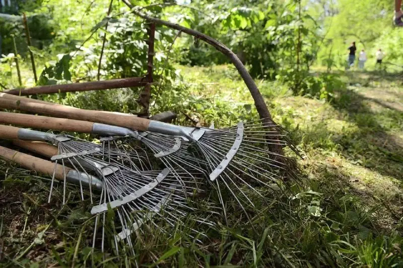 санитарный марафон в Краснодаре