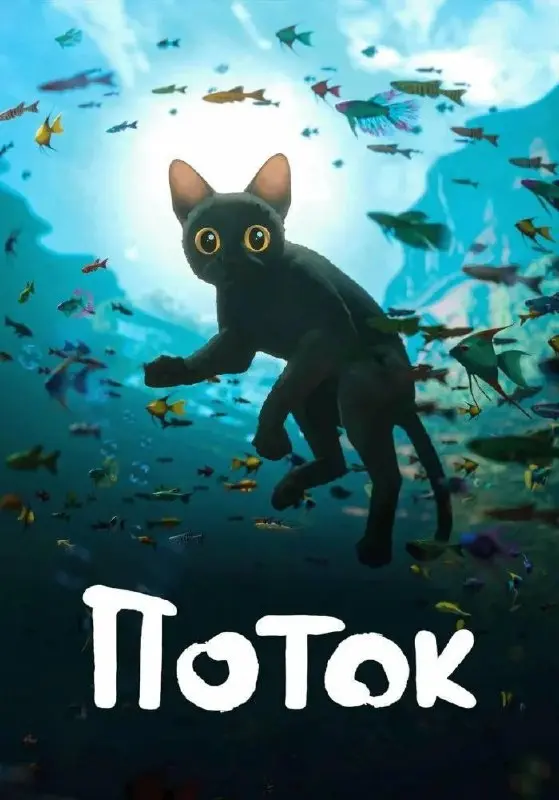 Киносеансы на 24 августа