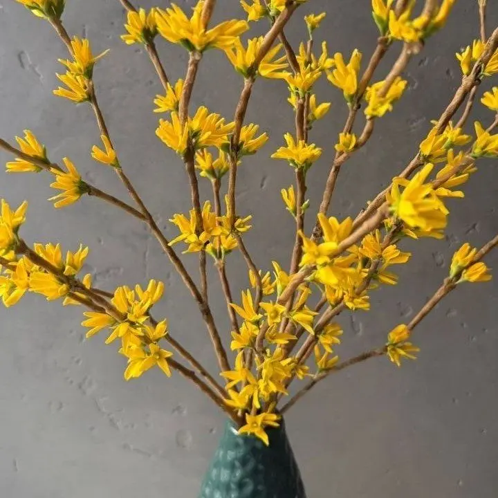 Мастер-класс Татьяны Евдокимовой "На свободную тему"