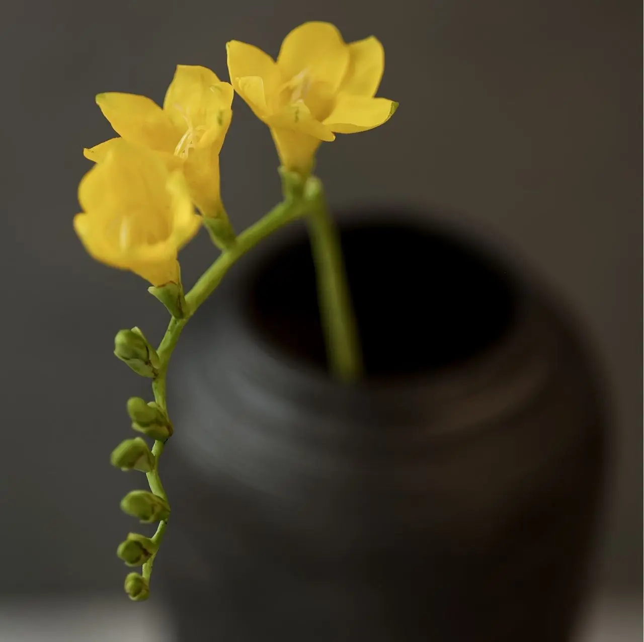 Мастер-класс Татьяны Евдокимовой "На свободную тему"