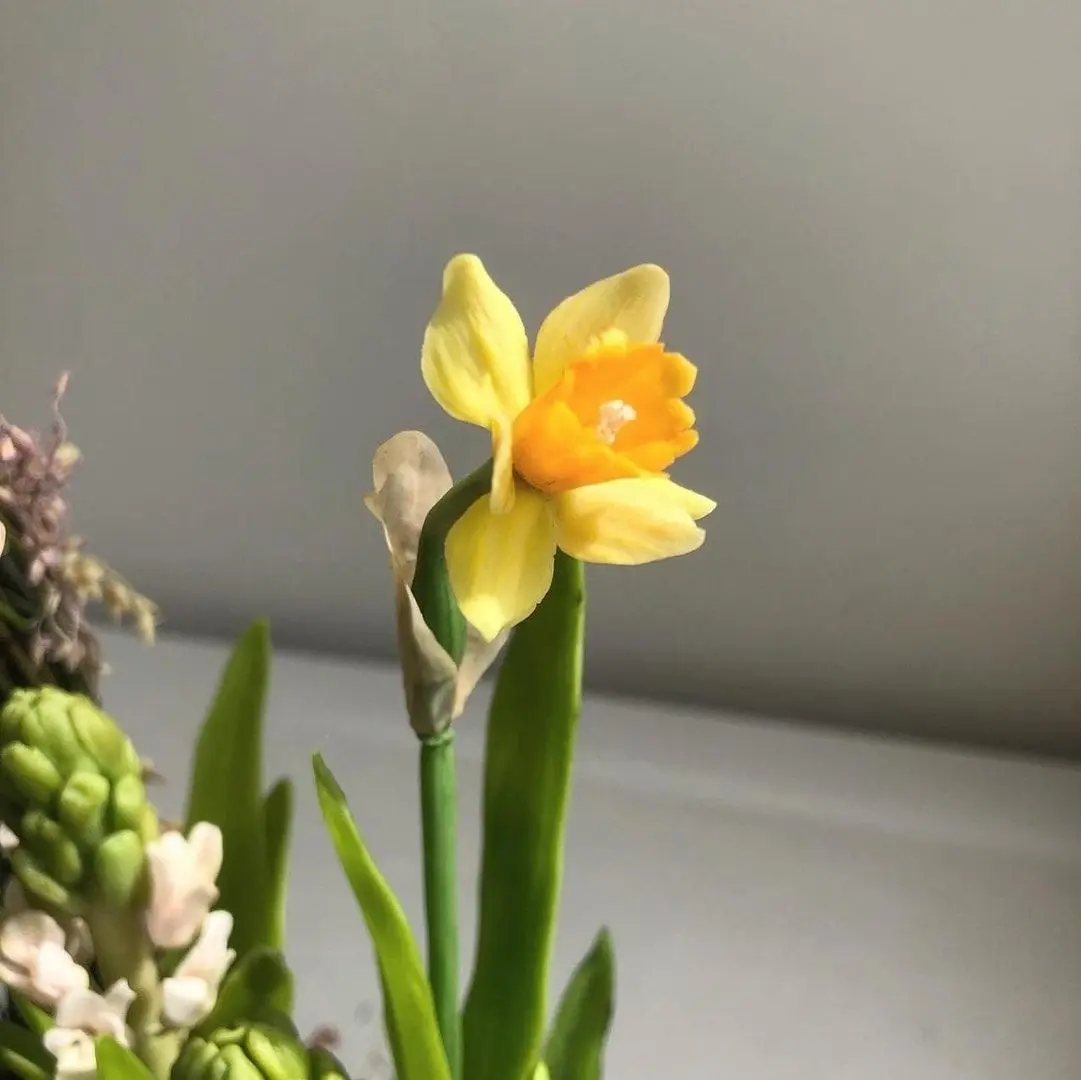 Мастер-класс Татьяны Евдокимовой "На свободную тему"