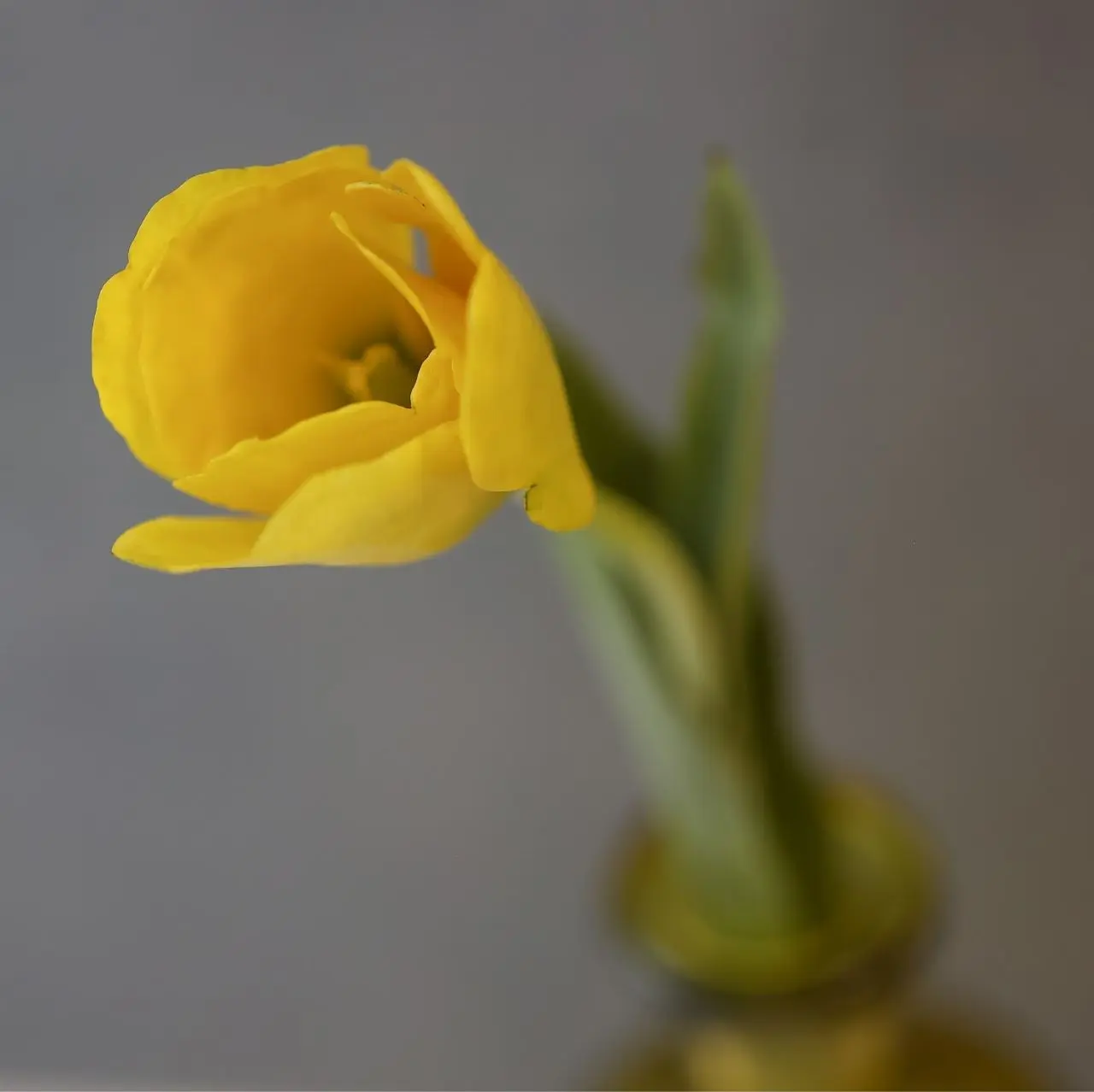 Мастер-класс Татьяны Евдокимовой "На свободную тему"