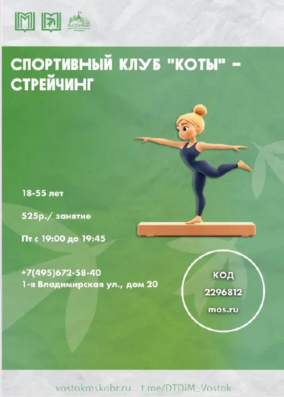 Грация, красота и сила: открой для себя мир Художественной гимнастики