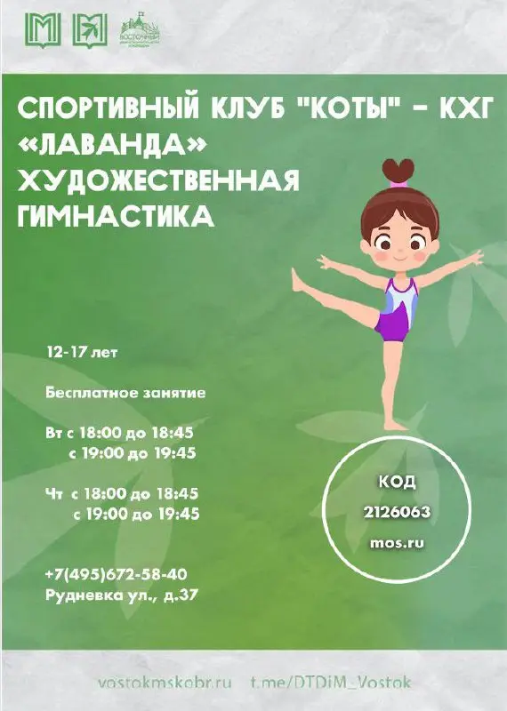Грация, красота и сила: открой для себя мир Художественной гимнастики