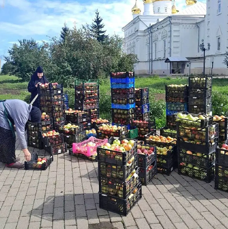 Сбор яблочного урожая в Дивеево