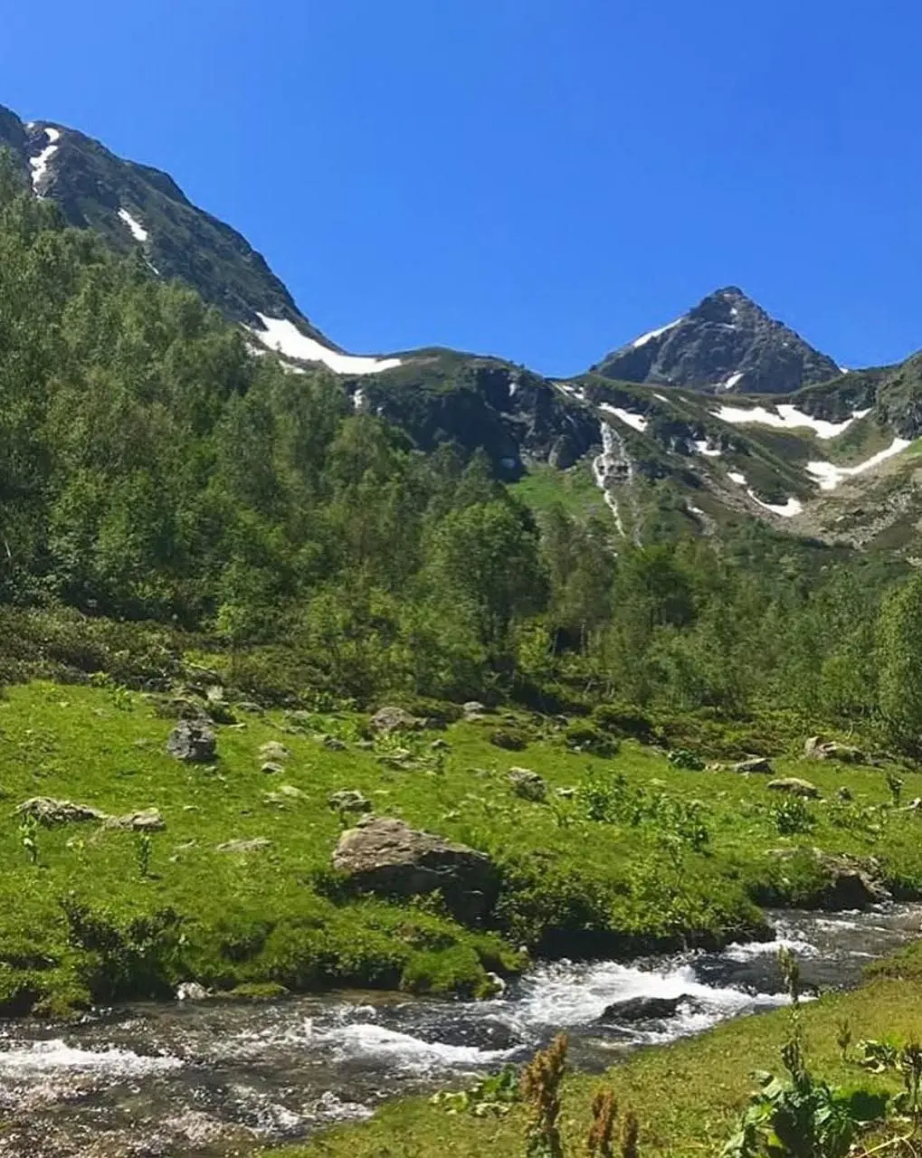 Лето в горах Домбая, полная перезагрузка
