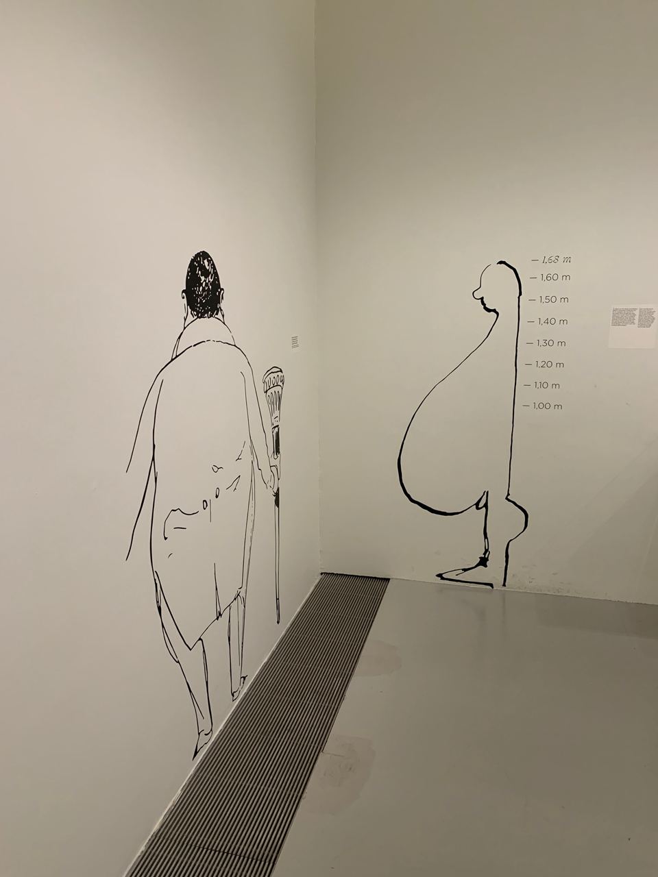 Не-видимые тела. Исследование в халате Бальзака