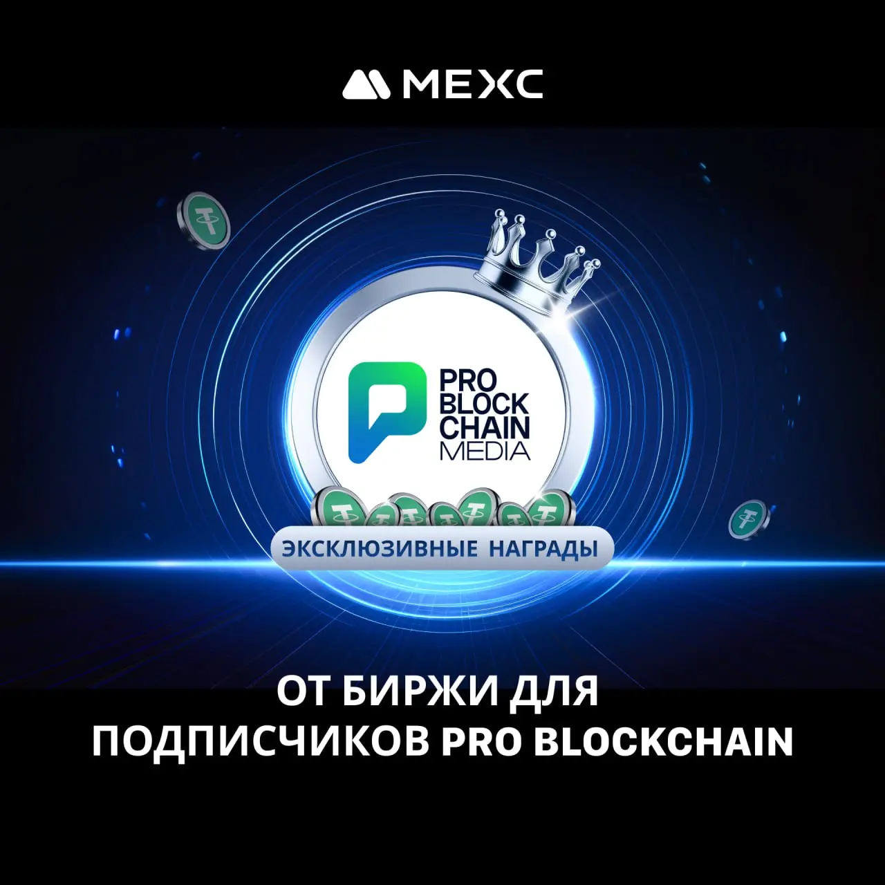 Exclusive для Pro Blockchain, Launchpad WLFI & Месяц IP