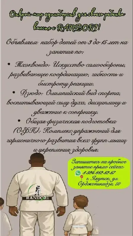 RANDORI спортивная тренировка по тхэквондо дзюдо либо ОФП