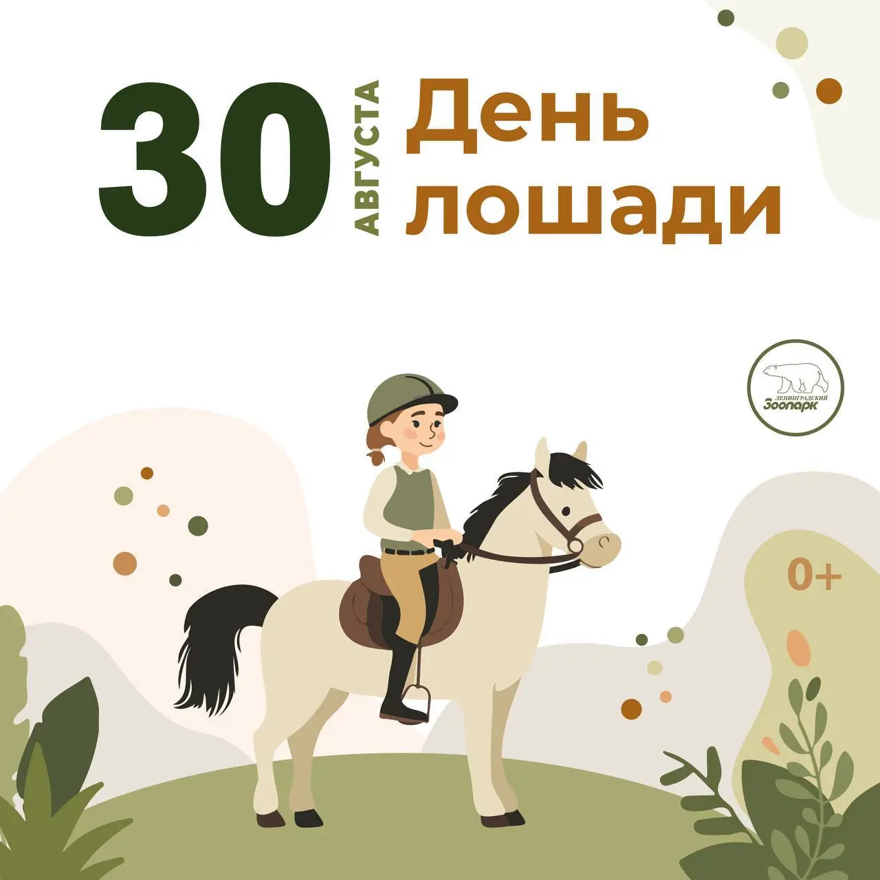 День лошади в Ленинградском зоопарке