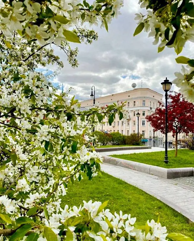 Хитровка и Яузский бульвар
