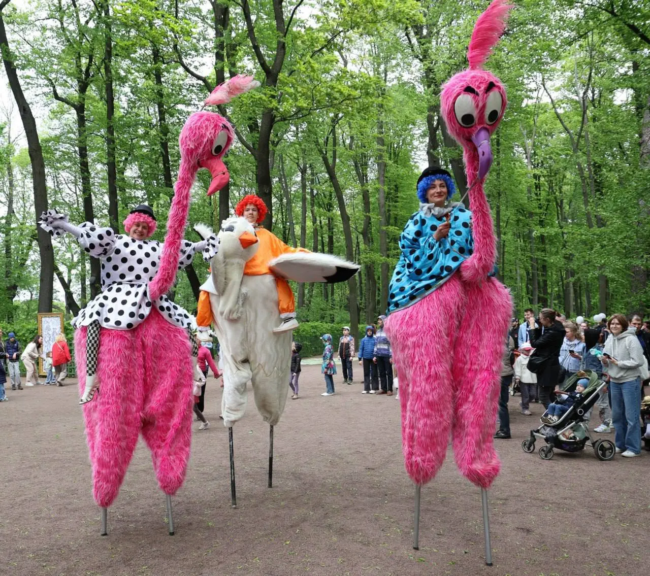 Открытый урок
