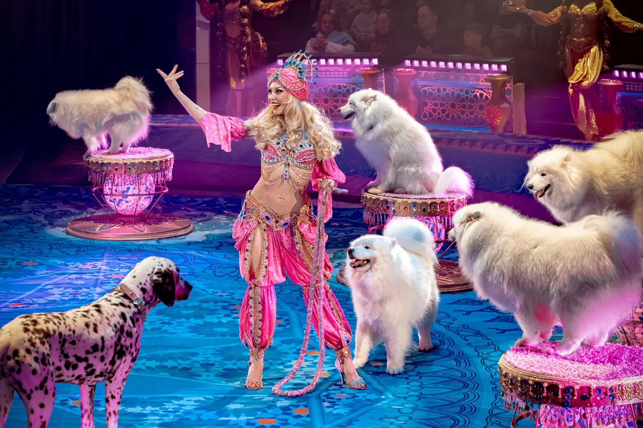 Росгосцирк на Восточном экономическом форуме 2025