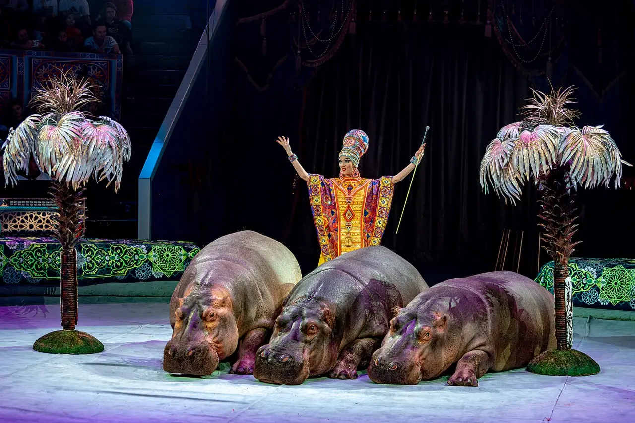 Росгосцирк на Восточном экономическом форуме 2025