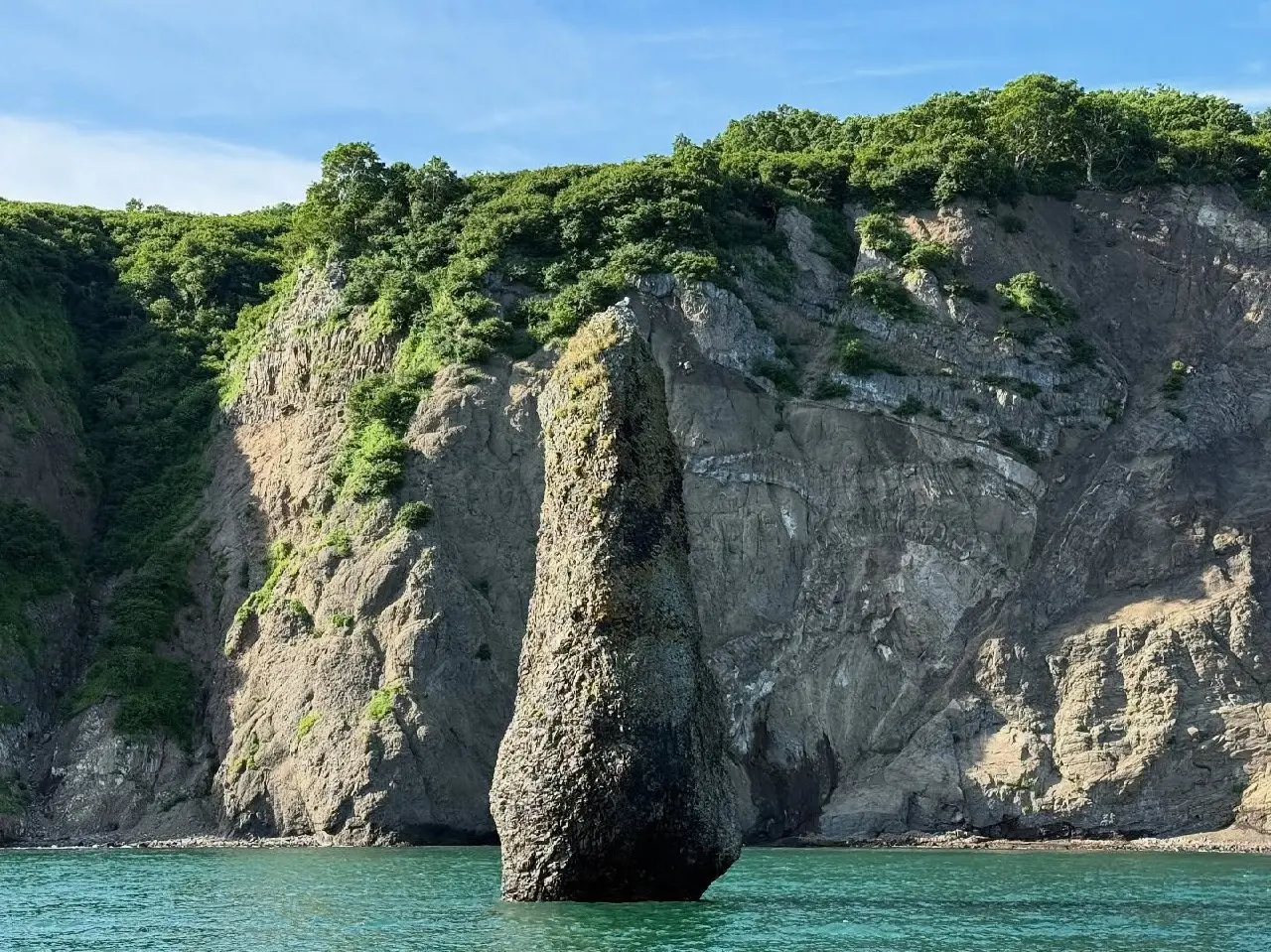 Морская прогулка по Тихому океану. Встреча с китами, сивучами, косатками.