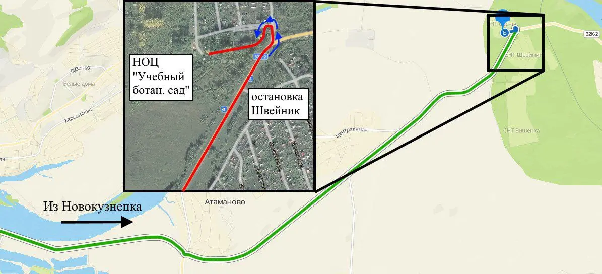 Учебный ботанический сад КГПИ КемГУ приглашает в гости