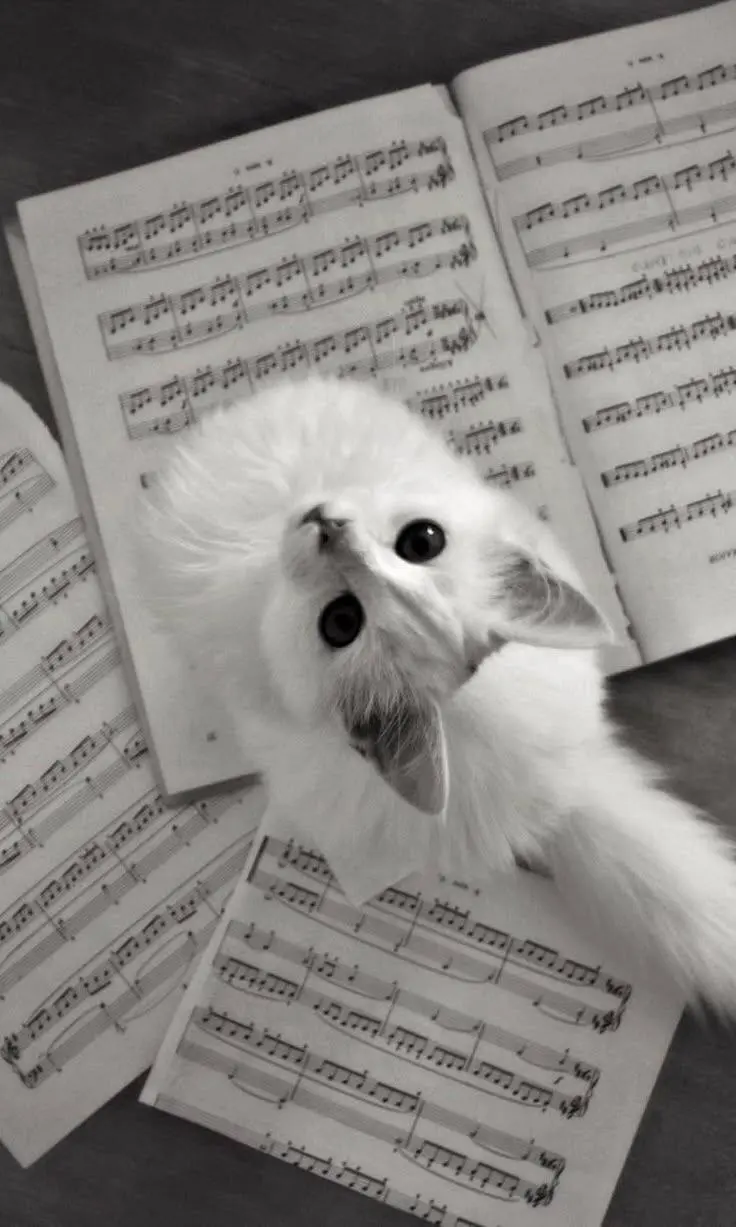 классические управленческие поединки с музыкальным уклоном