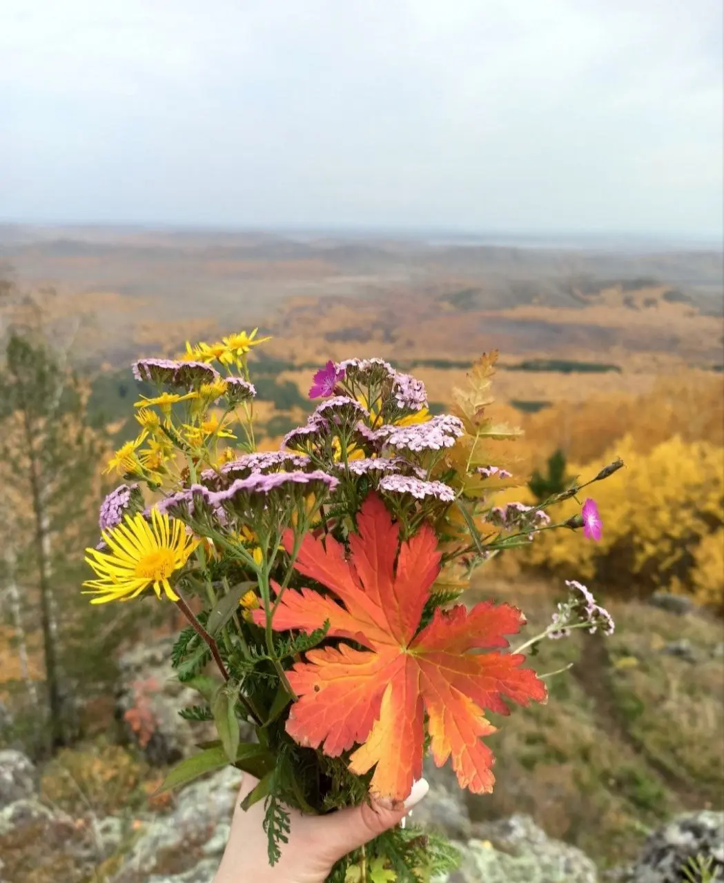 Другое состояние. Осень в Малиновке (ретрит)