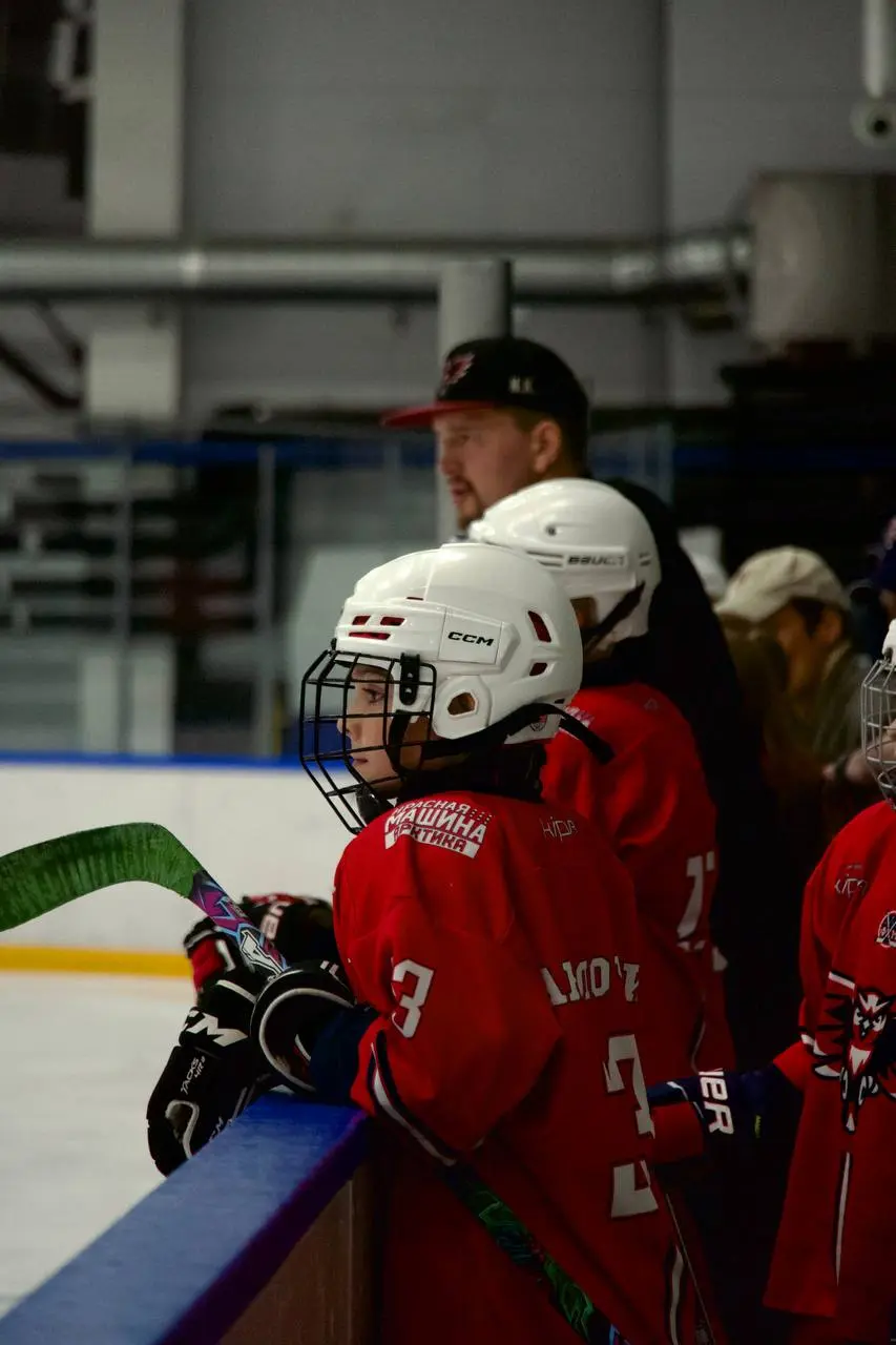 Товарищеская игра