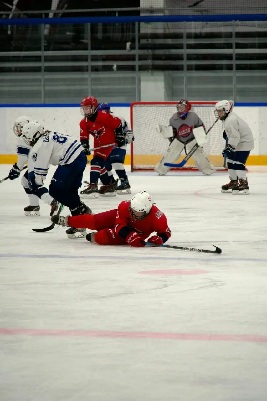 Товарищеская игра