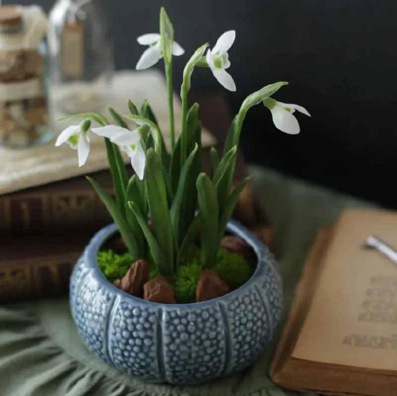 Мастер-классы "На свободную тему" с Лизой Бржозовской @fiore_spell в сентябре