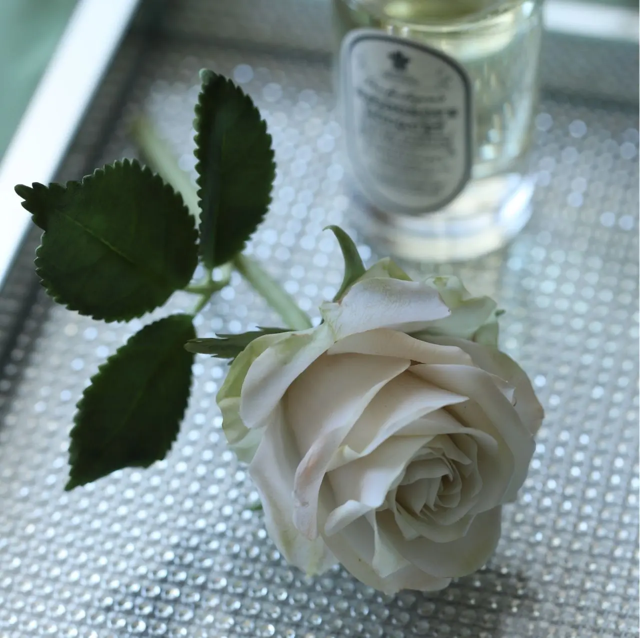 Мастер-классы "На свободную тему" с Лизой Бржозовской @fiore_spell в сентябре