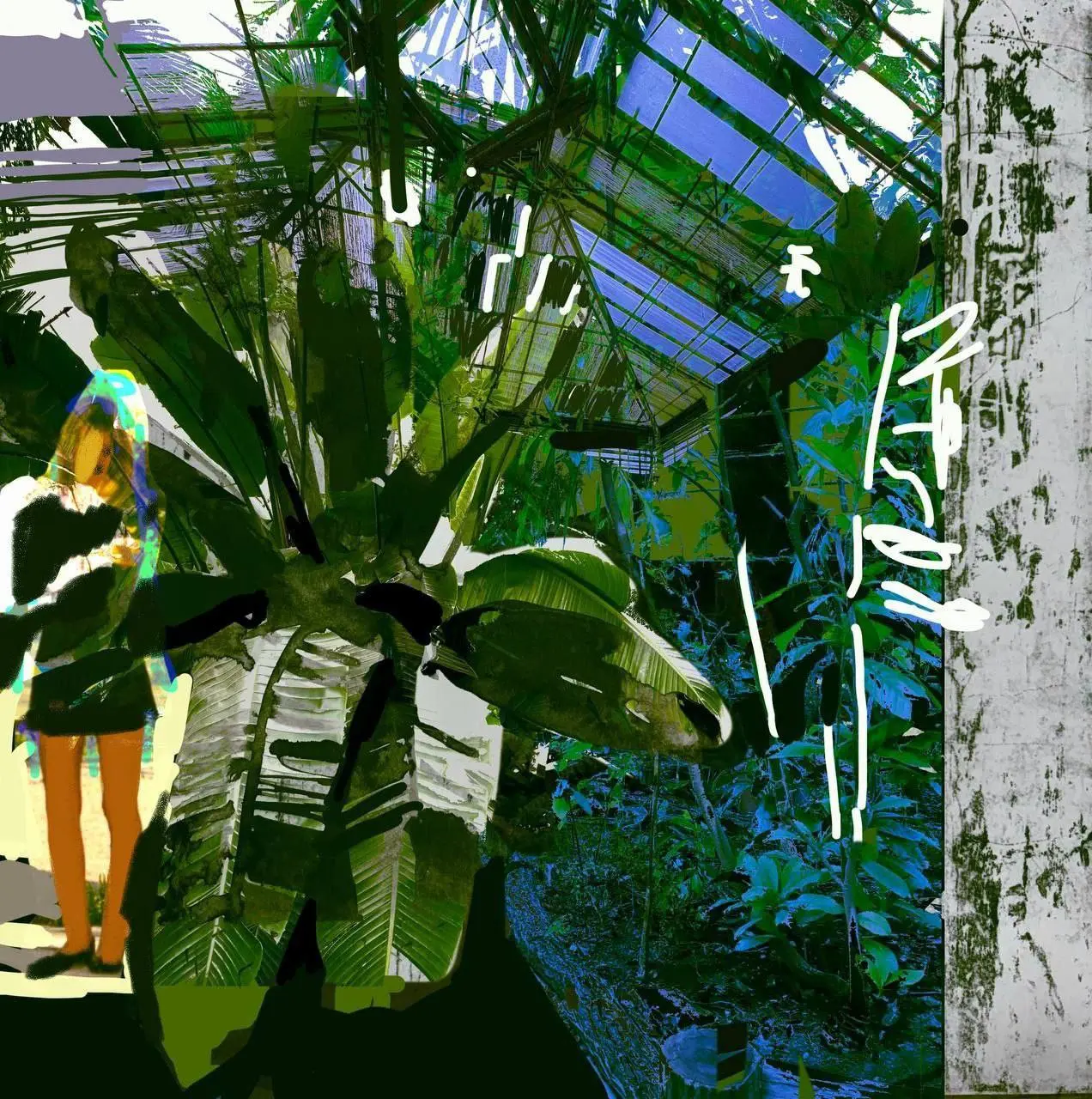 ПРОГРАММА СЕНТЯБРЯ