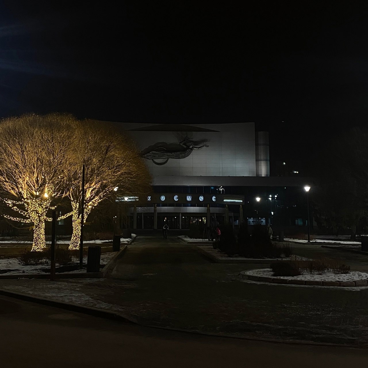 Предновогодний концерт Елены Ваенги