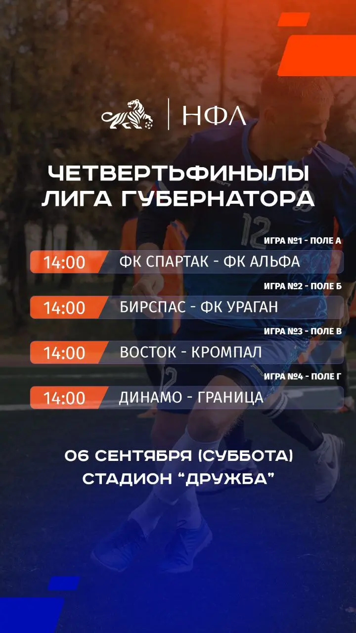 НФЛ: Полуфиналы и Финалы лиги на стадионе «Дружба»