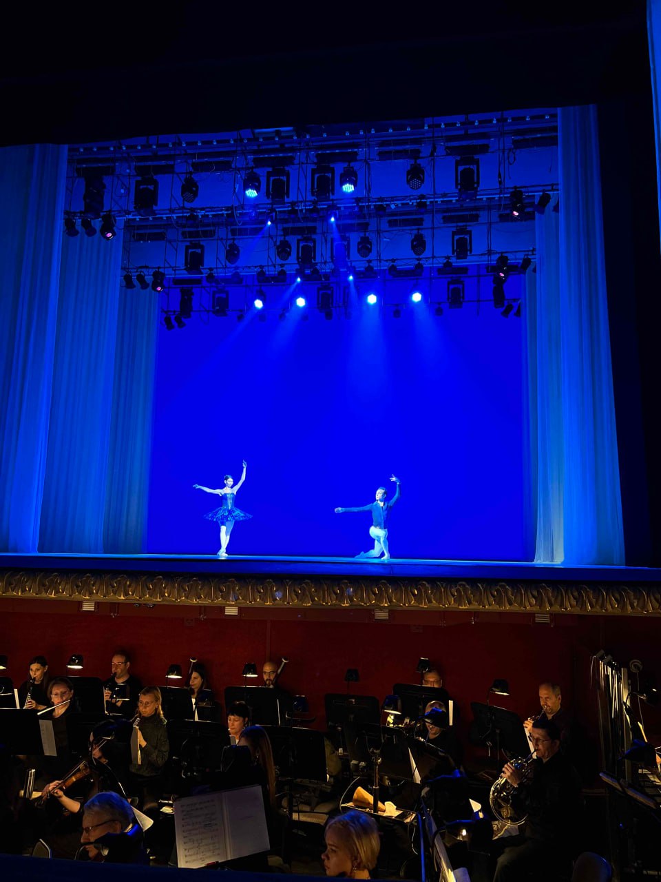 Рождественские концерты