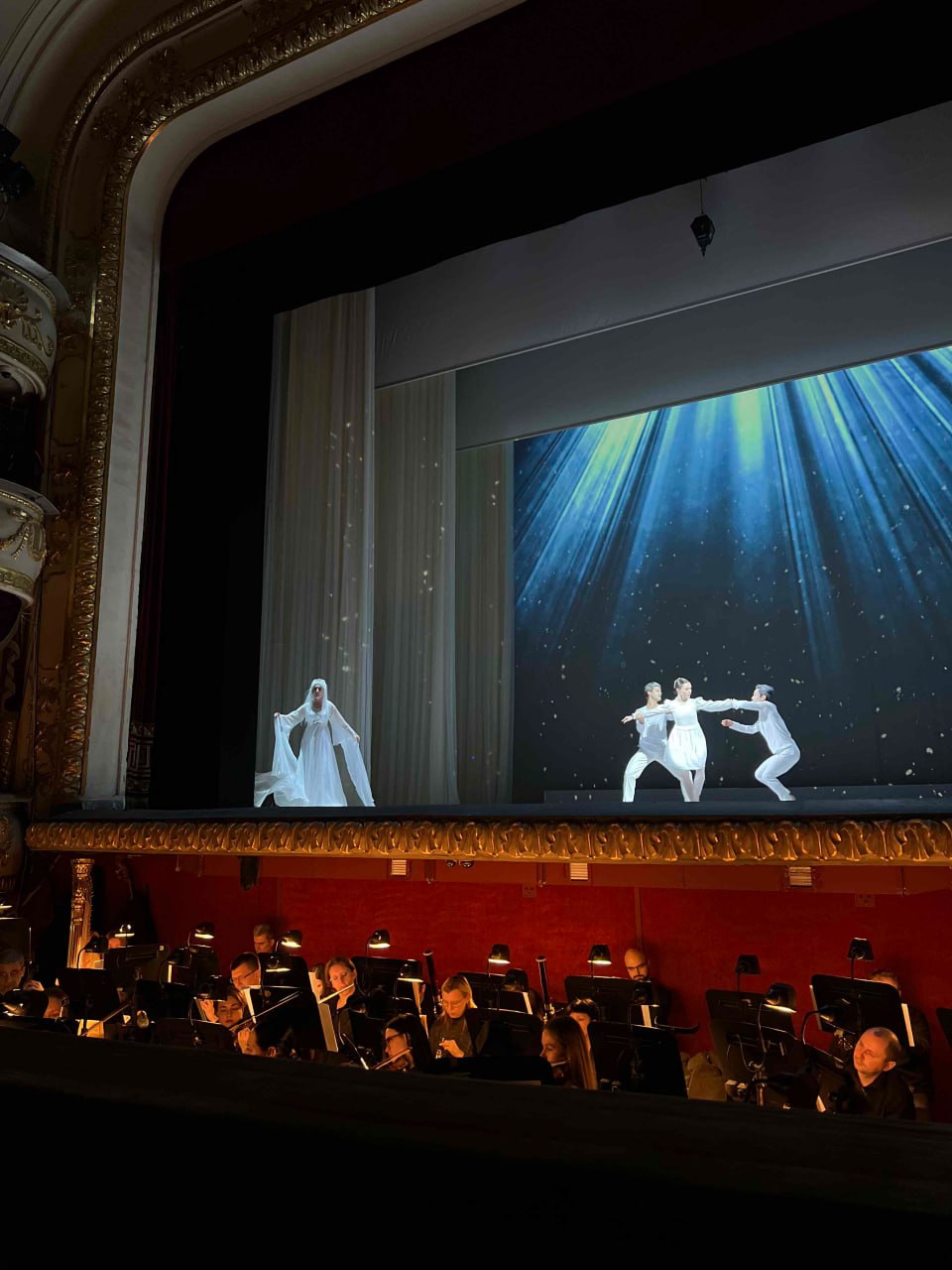 Рождественские концерты