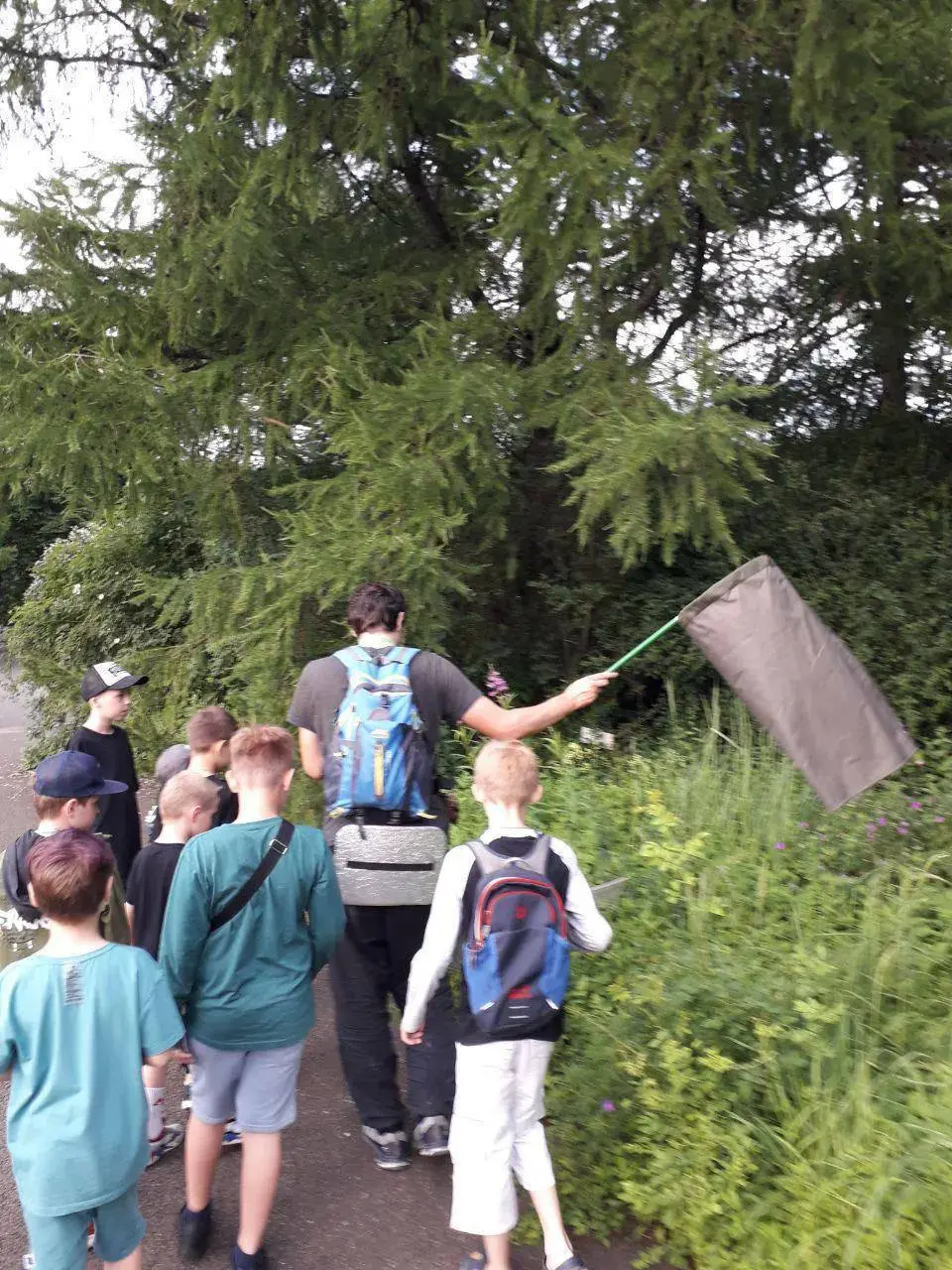 Прогулка Юный натуралист в Ботаническом саду МГУ на Воробьёвых