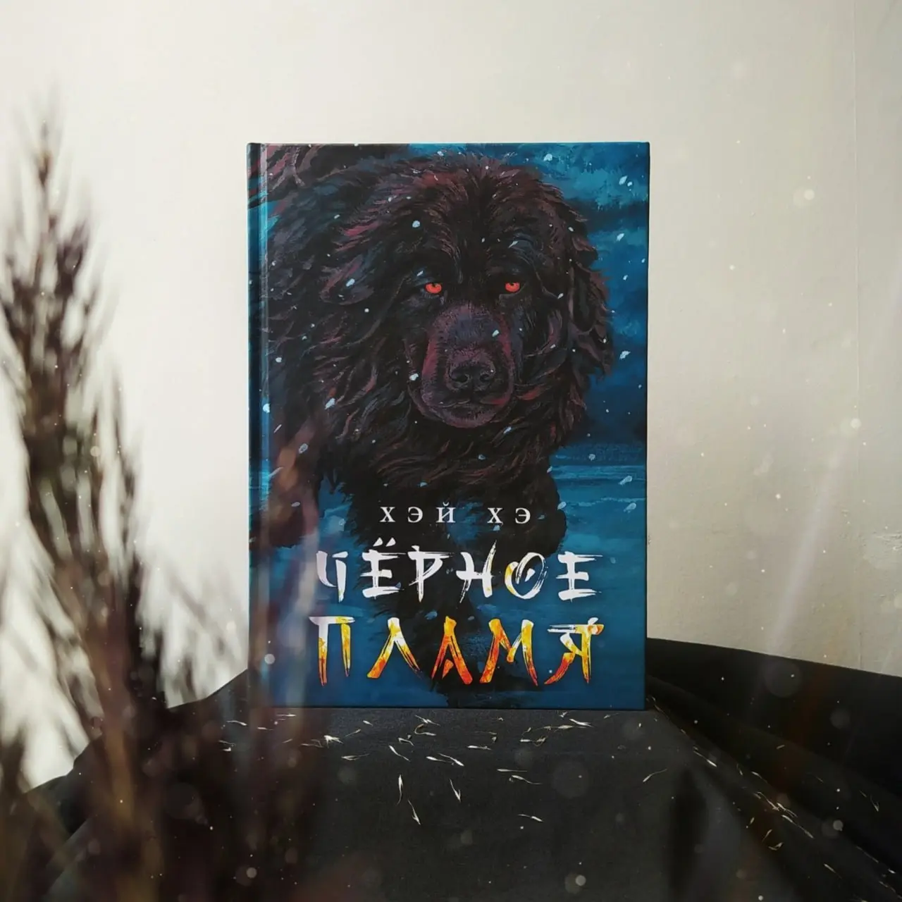 Фестиваль «Берег» в Благовещенске: гости Хэй Хэ и Чжан Сюэдун