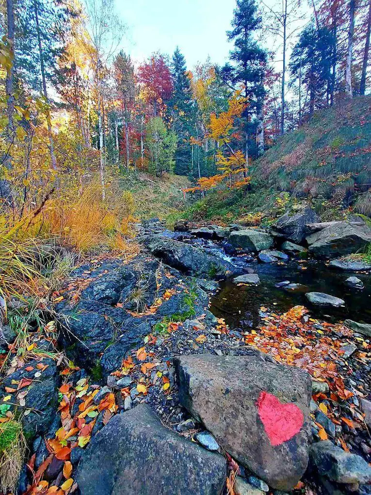 Осень в Дивчибаре