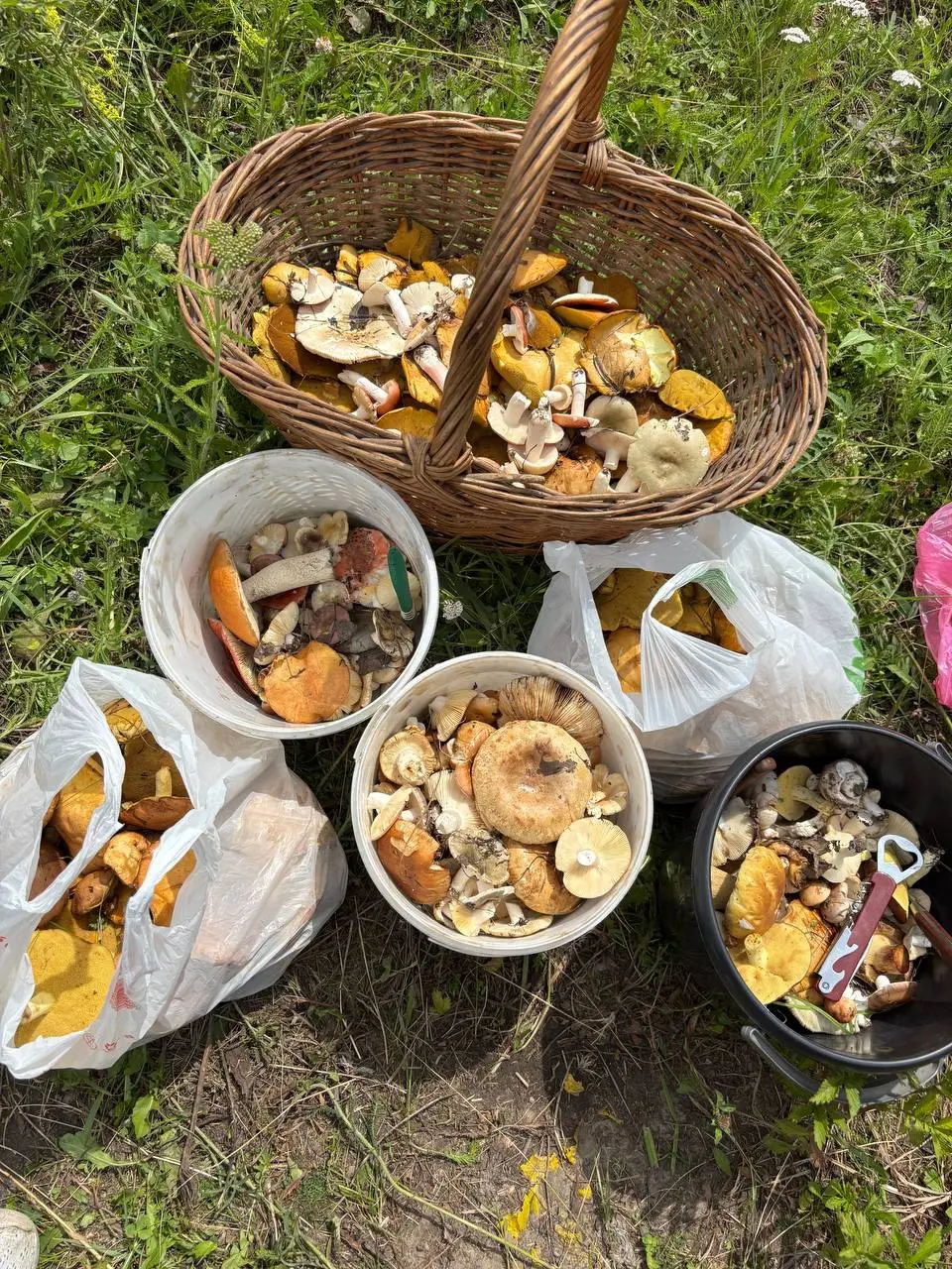 Новост00турызма: Грибной сезон