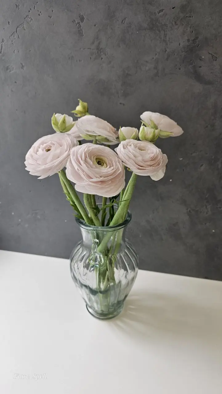 Мастер-класс по лепке цветов