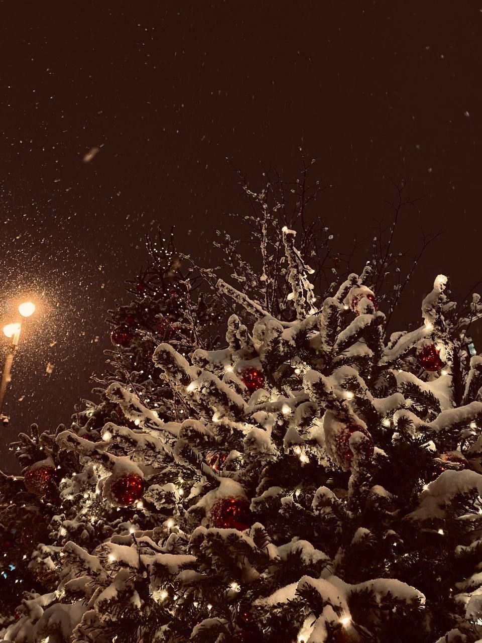 Дудук в темноте. Жизнь в мгновениях 2.0