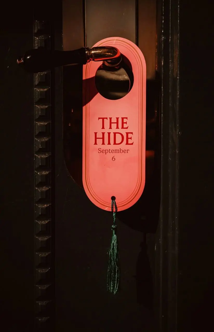 THE HIDE открытие пространства