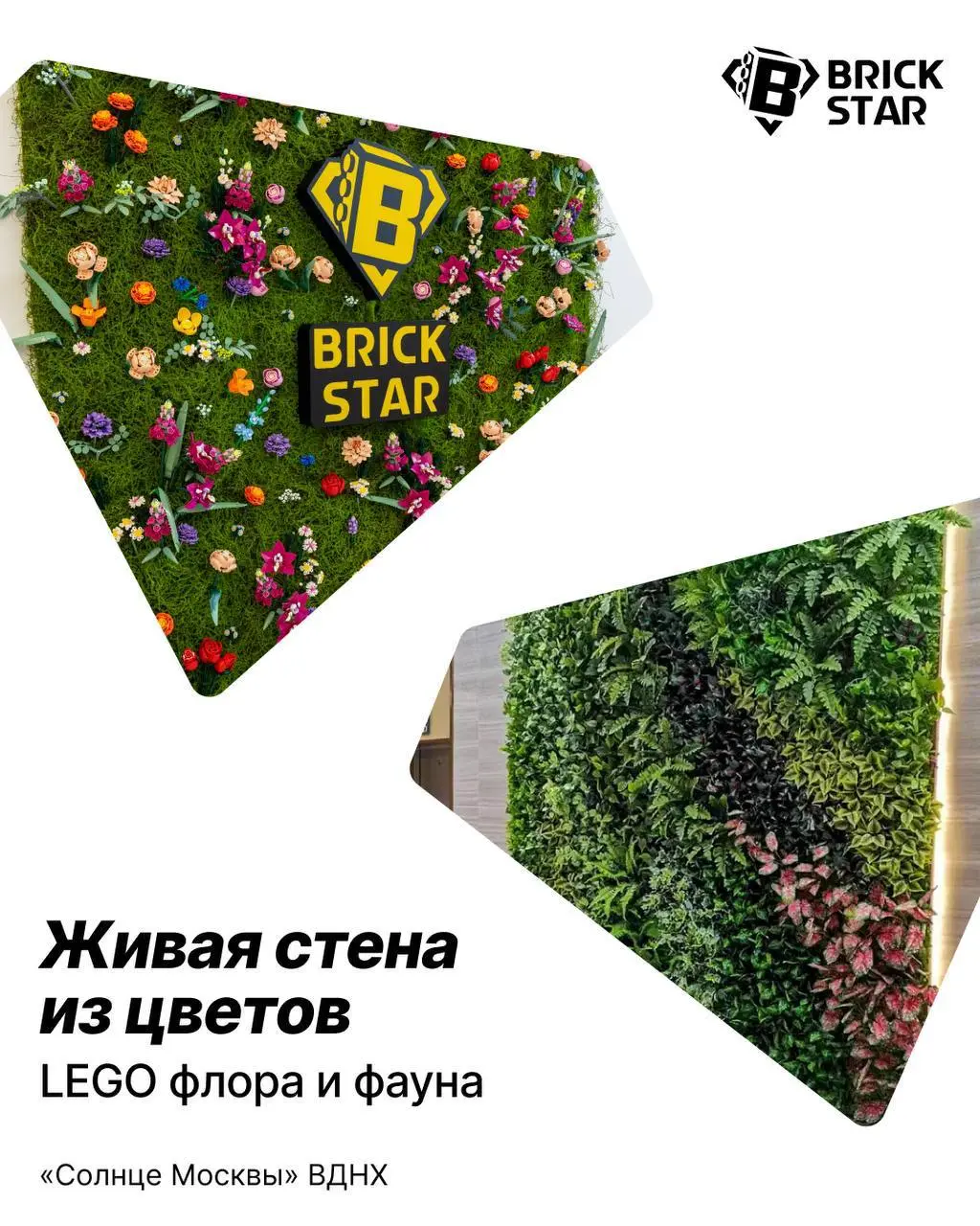 LEGO Brick Star: Живая природа в музее